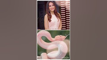 all naagin actress dress 👗 matching 🐍#shorts #video #viral #youtube #ytshorts #trending