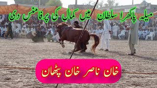 Khan Nisar Khan Pathan Da Favriot Rado Ghoa Horse Dance