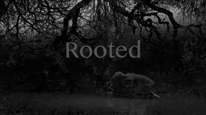 Rooted