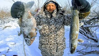 Рыбалка на хапугу зимой или как поймать мешок рыбы на поплавок! Караси долбят как из пулемета.