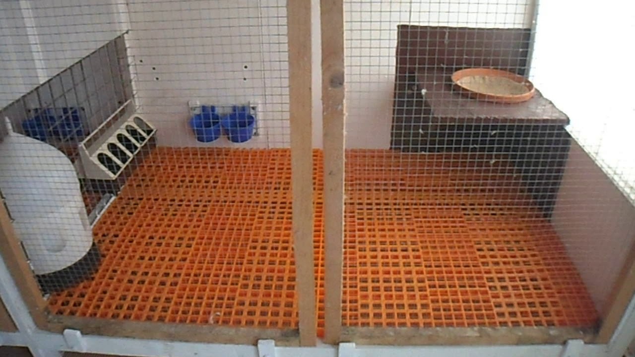 Individual breeding boxes for my American Giant Homer pigeons. 001