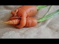 Carrot Hugs