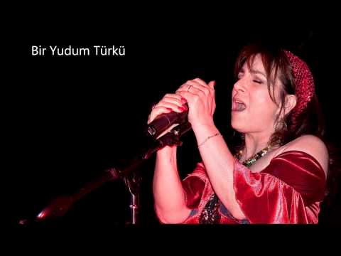 Yasemin Göksu   Aldı Gitti