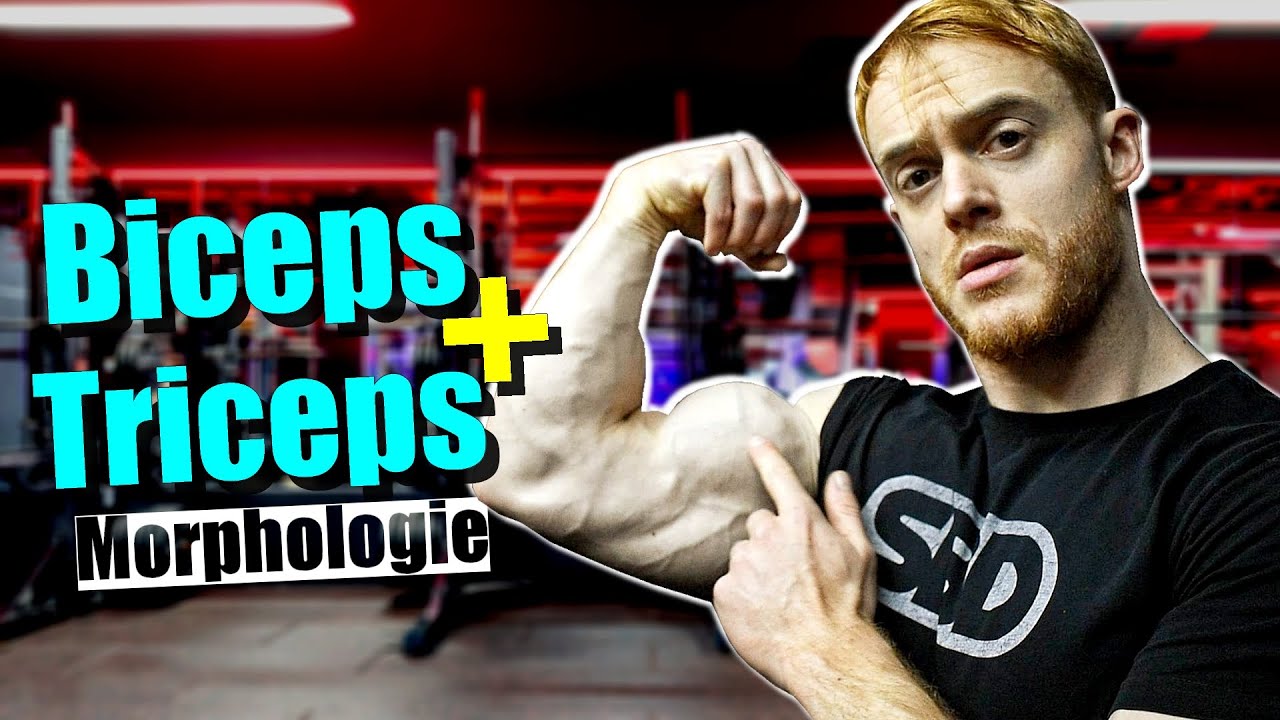 La Séance BRAS idéale en fonction de ta MORPHOLOGIE ! (Biceps + Triceps workout)