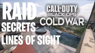 Raid Secrets, and Lines of Sight!! - Black Ops Cold War