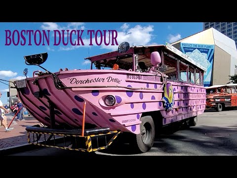 Vídeo: Consells per anar a Boston Duck Tours