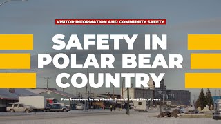 SAFETY IN POLAR BEAR COUNTRY / CHURCHILL, MANITOBA, CANADA