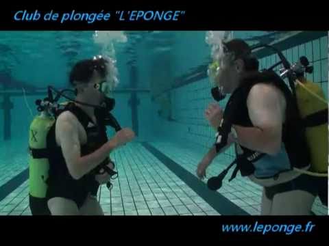 L'éponge
