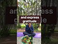 Food prayer must be performed  | #yoga #foodprayer#annambramum#foodgratitude
