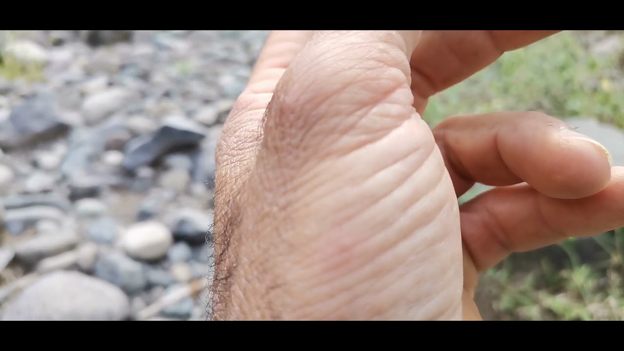 Karadeniz derelerinde ve ırmaklarında akik taşları