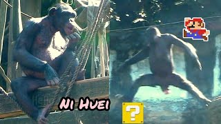 妮慧長大了🐵Chimpanzee Daily|Taipei zoo#黑猩猩 #animals #台北市立動物園  @hellochimpazeetv