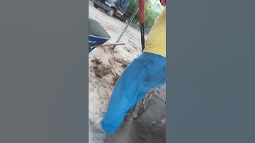 Bobcat maintenance￼