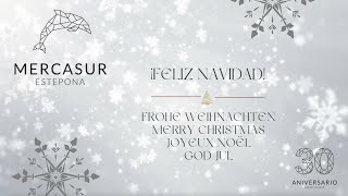 FELIZ NAVIDAD! Video corporativo Mercasur 2022