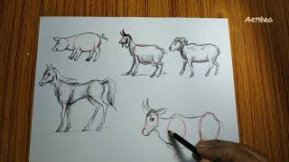 How to Draw Animals | An Easy Drawing Guide for Starting Artists