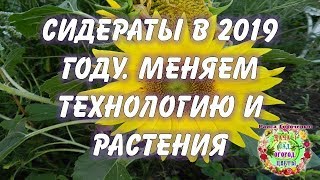 Сидераты в 2019 году. Меняем технологию и растения Сидераты в 2019 году. Меняем технологию и растения