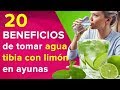 20 beneficios de beber agua tibia con limón en ayunas