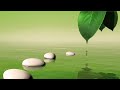 Zen spa music for deep relaxation and tranquil spirits