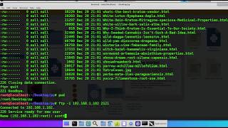 Linux Terminal FTP Tutorial Upload Download All Files Without Are You Sure Prompt