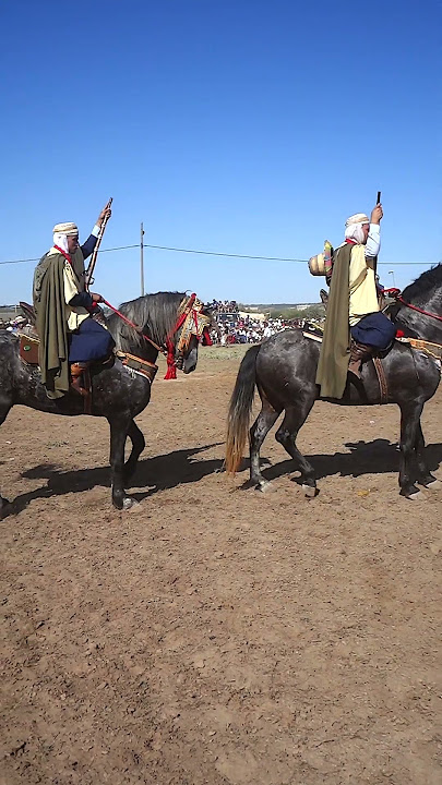 Entrée des cavaliers fantasia الخيالة دخول الفرسان سيدي عبدالله #shorts #gasba Mostaganem