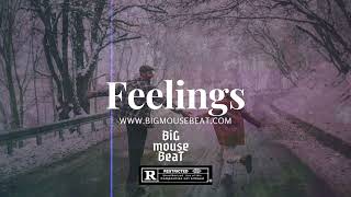 [ FREE BEAT ] Rema X Burna Boy X Wizkid TypeBeat 'Feelings' -  Prod by Bigmousebeat