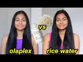 Rice Water vs Olaplex Hair Wash | Which is better for your hair? 🧐