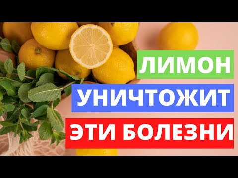 Лимон избавит от ангины, бронхита, тошноты, гриппа и атеросклероза.