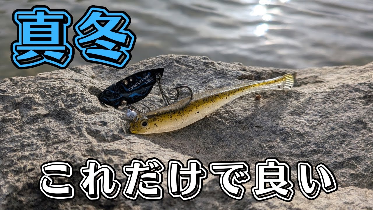 【バス釣り】釣れない時はこのルアーを試して下さい。寒波でも釣れるオススメルアーを厳選して、実釣します【メタル系ルアー】【スト系ルアー】【信じてやり切れ！】