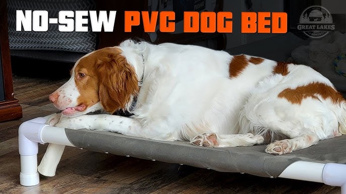 How to Pick a Chew-Proof Dog Bed A Comprehensive Guide