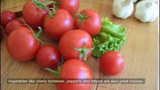 Auto-Video-01K95S6ZY9N1WF7GRX5WMV34H0.mp4.mp4