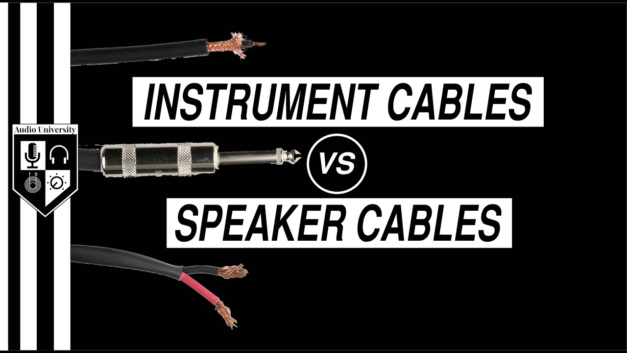 INSTRUMENT CABLES vs SPEAKER CABLES: What's the Difference? - YouTube