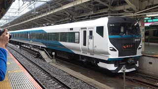 2021/03/13 【運用入り】 踊り子9号 E257系 NA-12+NC-31編成 東京駅 | JR East: "Odoriko #9" E257 Series NA-12+NC-31 Set