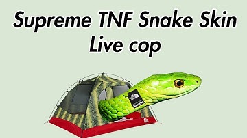 Supreme TNF Snake Skin Live Cop with Astro Bot