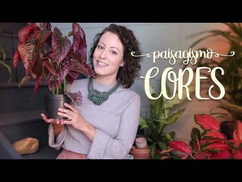 Vídeo: Jardins Monocromáticos - Informações Para Jardinagem Com Uma Cor