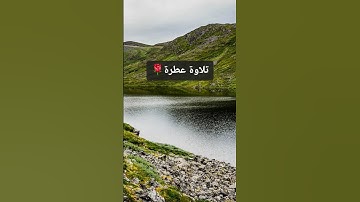 تلاوة عطرة من سورة المائدة @watazawadoo 🌹