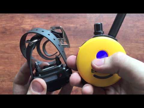 How to change the boost level on a Mini Educator e-collar | Follow The Leader Dog Training