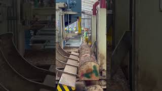 Aserrío de tablas de pino en el aserradero de Pueblos Mancomunados de Oaxaca, México