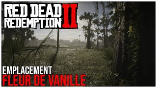 Red Dead Redemption 2 - Emplacement - Fleur De Vanille