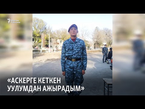 Video: Туздуу суудагы балыктар пластик жегенге көнүп калышат