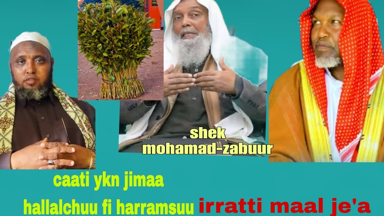 Fatwaa shek mahamad-zabuur haraami fi halaalii caatii ykn jimaa irraa maaldubbata ??