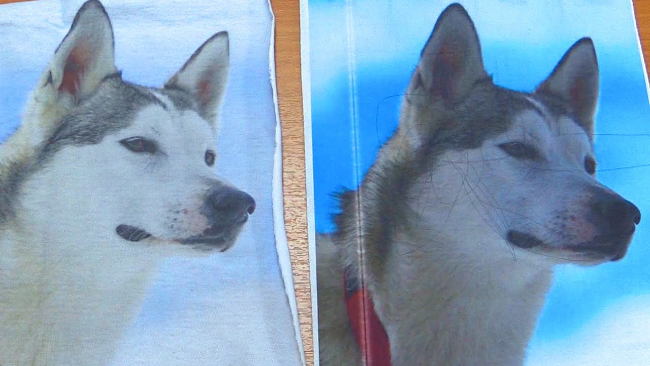 ЛАЙФХАК С ПРИНТЕРОМ (И ЭТО НЕ ШУТКА) - YouTube