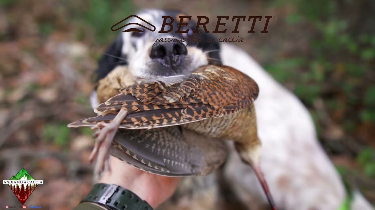 Caccia alla beccaccia con il Beeper 2000 xp