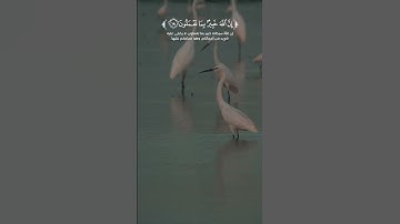 ماذا أعددت لغدك؟ | تلاوة تهز القلوب💔 من سورة الحشر بصوت القارئ #احمد_النفيس