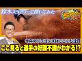 【若狭敬一のスポ音】鈴木義広スコアラーにドラゴンズ選手の好不調の波を聞いてみた