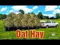 Cutting, Raking, Baling, and Wrapping Oats for Hay