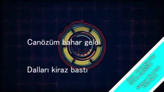 Video thumbnail of "Gel Barışalım Cover"