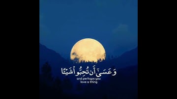 أجمل تلاوة رائعة جميلة🍂حالات واتساب مقاطع دينية قصيرة#تلاوات_خاشعة 🍀#قران_كريم💫القاري#ماهر_المعقلي