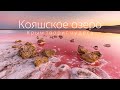 Кояшское озеро в Крыму Как добраться до розового озера