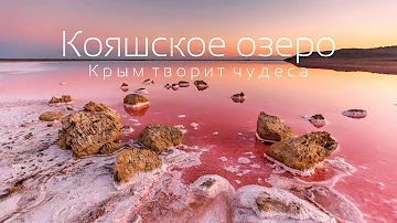 Кояшское озеро в Крыму Как добраться до розового озера