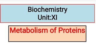 Proteins Metabolism,Urea Cycle || Biochemistry unit-11.Lecture with MCQS.For BS Students.