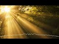 Nobody - Toplina Sunčevih Zraka [Official Audio]